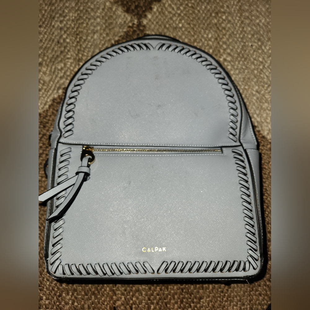 Baby Blue Mini Calpak Backback